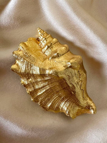 Maxi spilla dorata a forma di conchiglia Sinostrombus Sinuatus