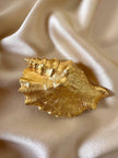 Maxi spilla dorata a forma di conchiglia Sinostrombus Sinuatus