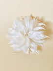Broche/pince à plumes blanches