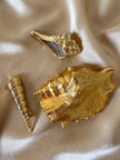Spilla dorata con strass a forma di conchiglia Bolinus