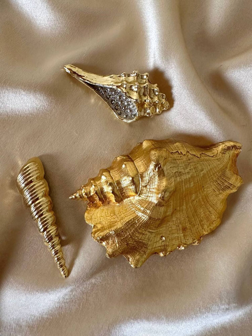 Maxi spilla dorata a forma di conchiglia Sinostrombus Sinuatus