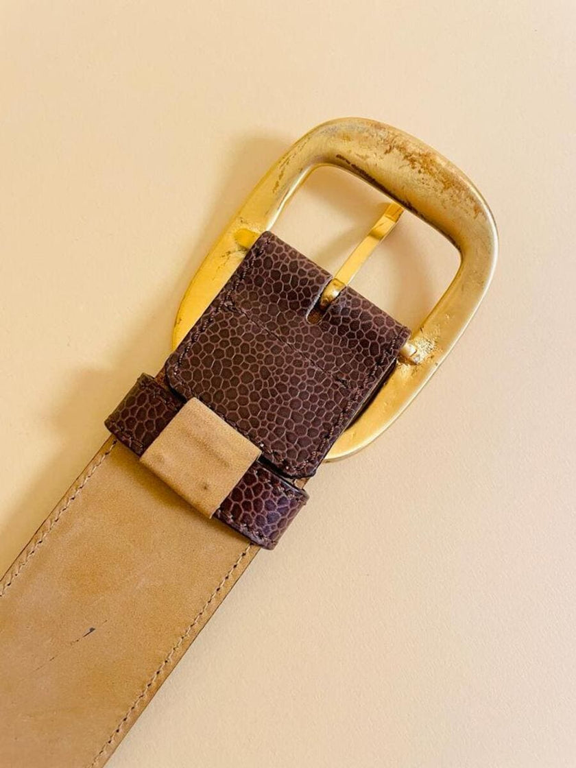 Cintura in pelle stampa tejus color ebano con maxi fibbia oro satinato