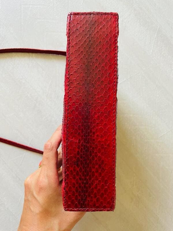 Mini bag in whips rossa