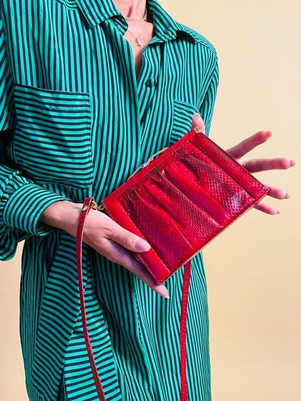Mini bag in whips rossa
