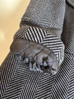 Cappotto sartoriale in lana spinata con bottoni Yves Saint Laurent